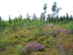 Holiday Home HagforsSemester | Värmullsållsen Hagfors
